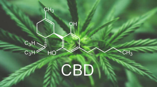 THE ENTOURAGE EFFECT: HOW CBD AND THC WORK TOGETHER