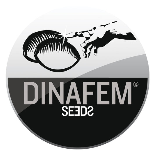 Dinafem Seeds: A Pioneer in Feminized Cannabis Seed