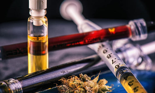 Make Your Own Hash Oil From Cannabis: An Easy, Step-By-Step Guide Using Isopropyl Alcohol