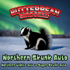 Northern Skunk Auto