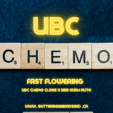 UBC Chemo Fast Flowering