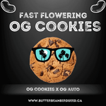 OG Cookies Fast Flowering
